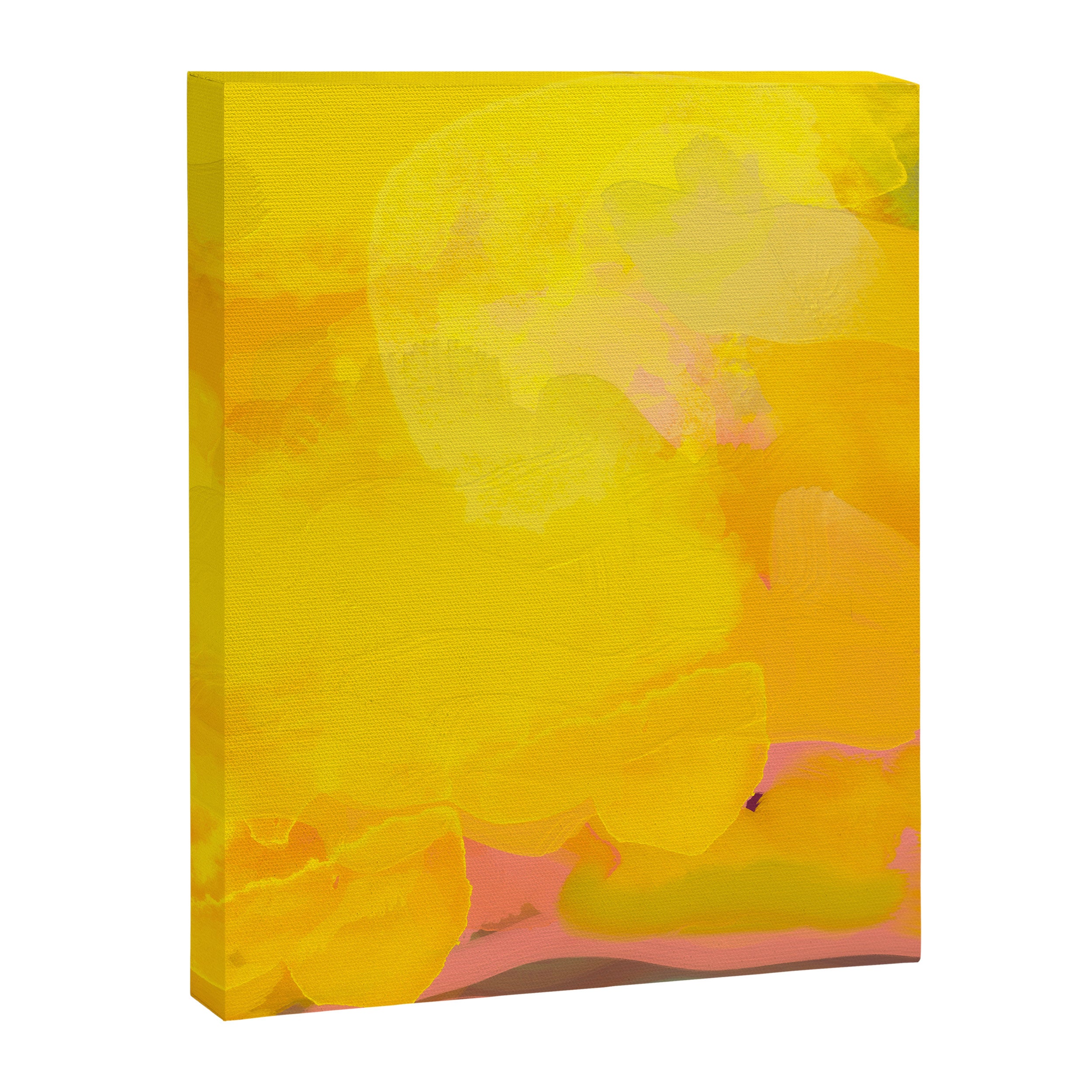 sun Canvas Print Gallery Image 6