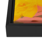 sun Framed Canvas Print Gallery Image 3
