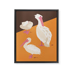Pelicans Framed Canvas Print Gallery Image 6