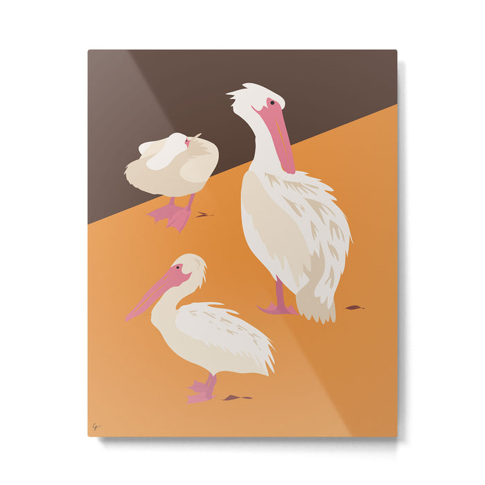 Pelicans Metal Print Gallery Image 1