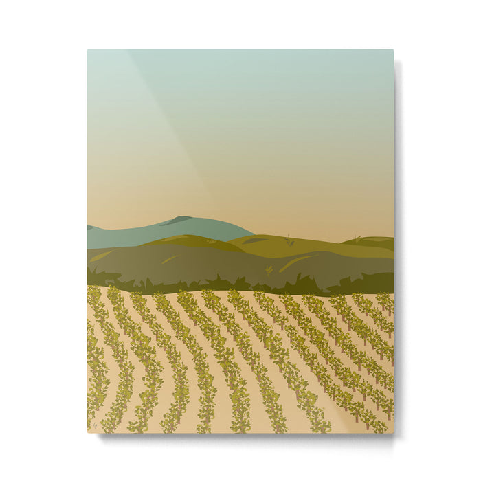 Santa Rosa, California Vineyard Metal Print Gallery Image 1
