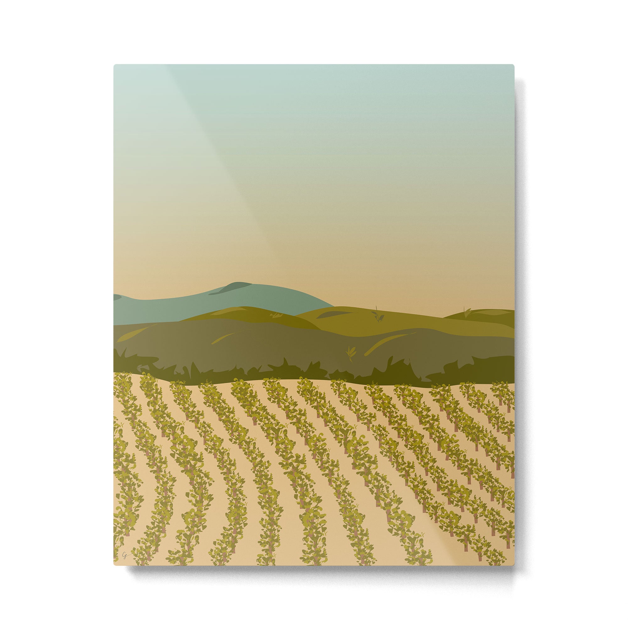 Santa Rosa, California Vineyard Metal Print Gallery Image 4