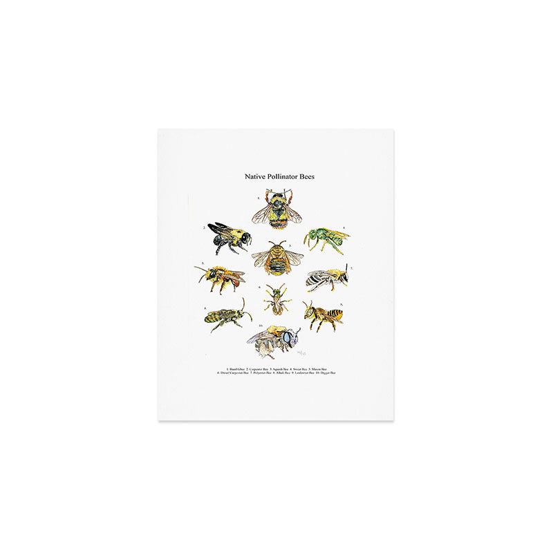 Bee Pollinators Art Print Gallery Image 1