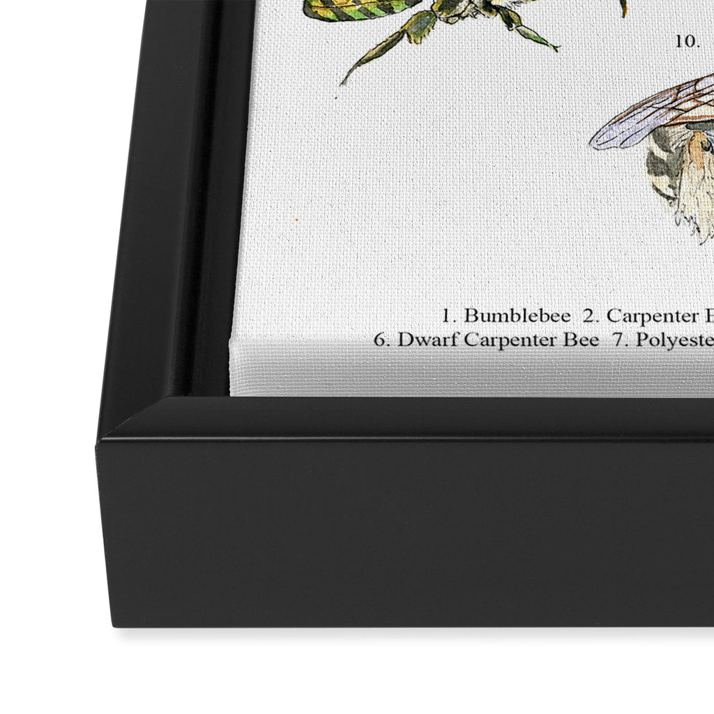 Bee Pollinators Framed Canvas Print Gallery Image 3