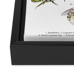 Bee Pollinators Framed Canvas Print Gallery Image 3