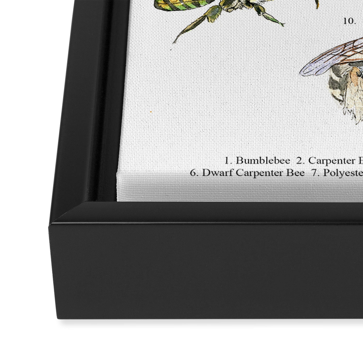 Bee Pollinators Framed Canvas Print Gallery Image 3