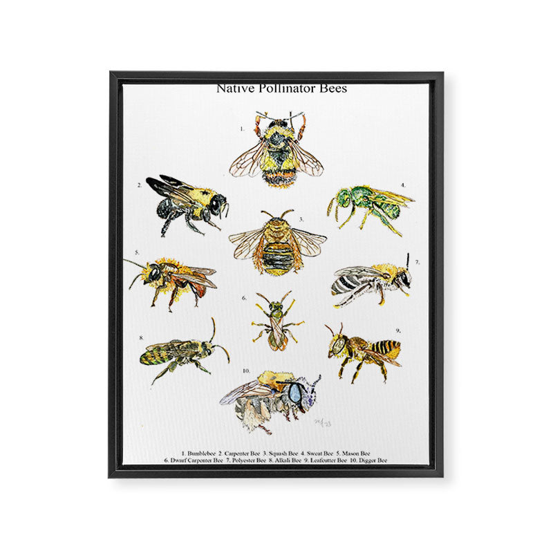 Bee Pollinators Framed Canvas Print