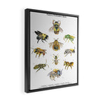 Bee Pollinators Framed Canvas Print Gallery Image 2