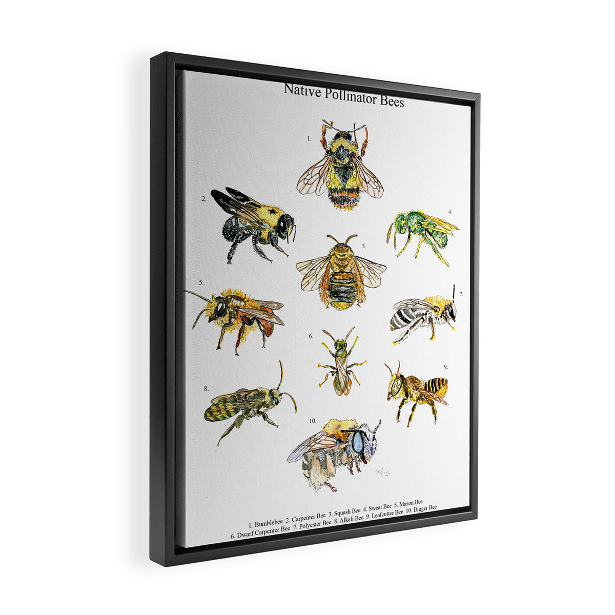 Bee Pollinators Framed Canvas Print Gallery Image 2