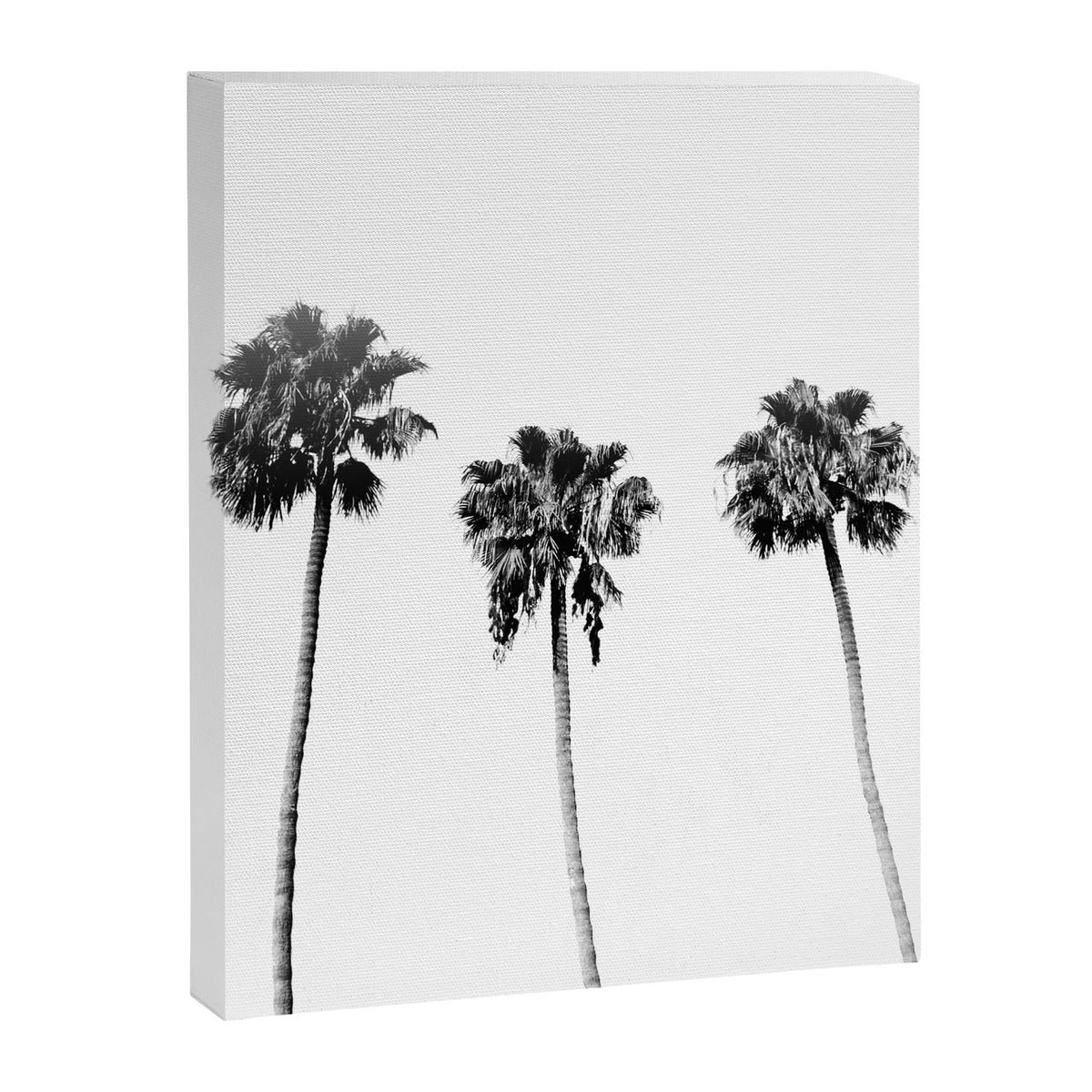 Black + White Palm Trees Canvas Print Gallery Image 6
