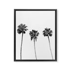 Black + White Palm Trees Framed Canvas Print Gallery Image 6