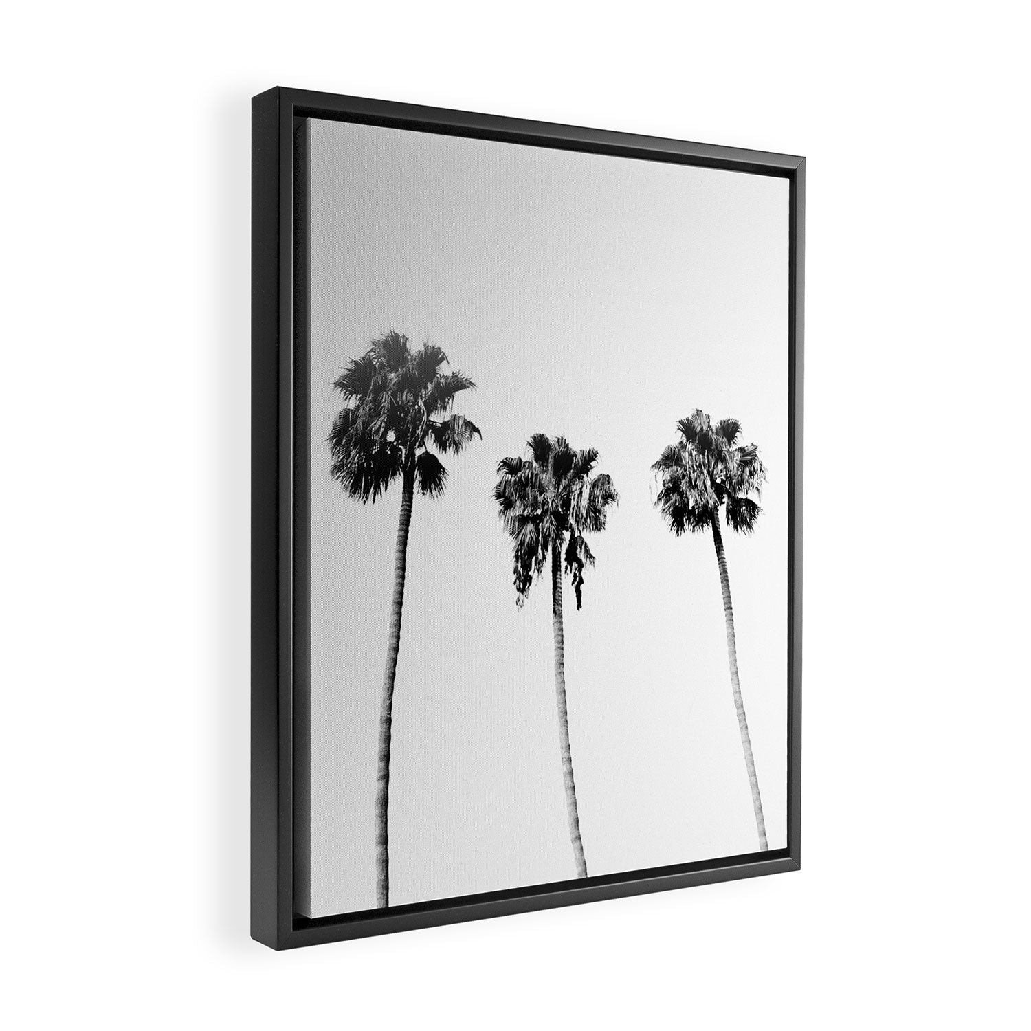 Black + White Palm Trees Framed Canvas Print Gallery Image 2