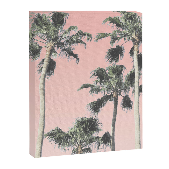 Blush Palms Canvas Print Gallery Image 1
