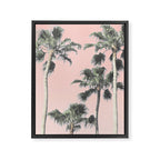 Blush Palms Framed Canvas Print Gallery Image 6
