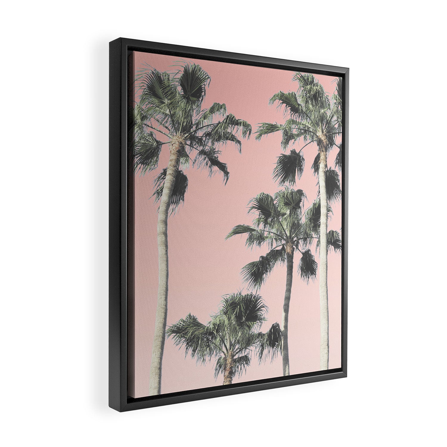 Blush Palms Framed Canvas Print Gallery Image 2