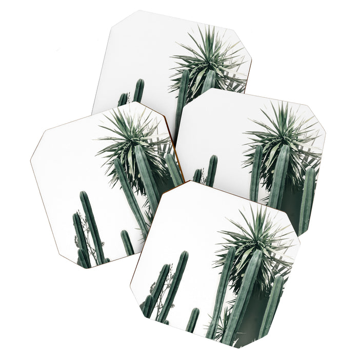 Desert Botanicals Coaster Gallery Image 1
