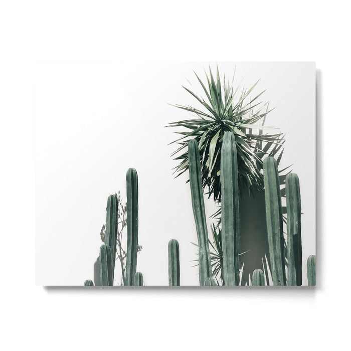 Desert Botanicals Metal Print Gallery Image 1