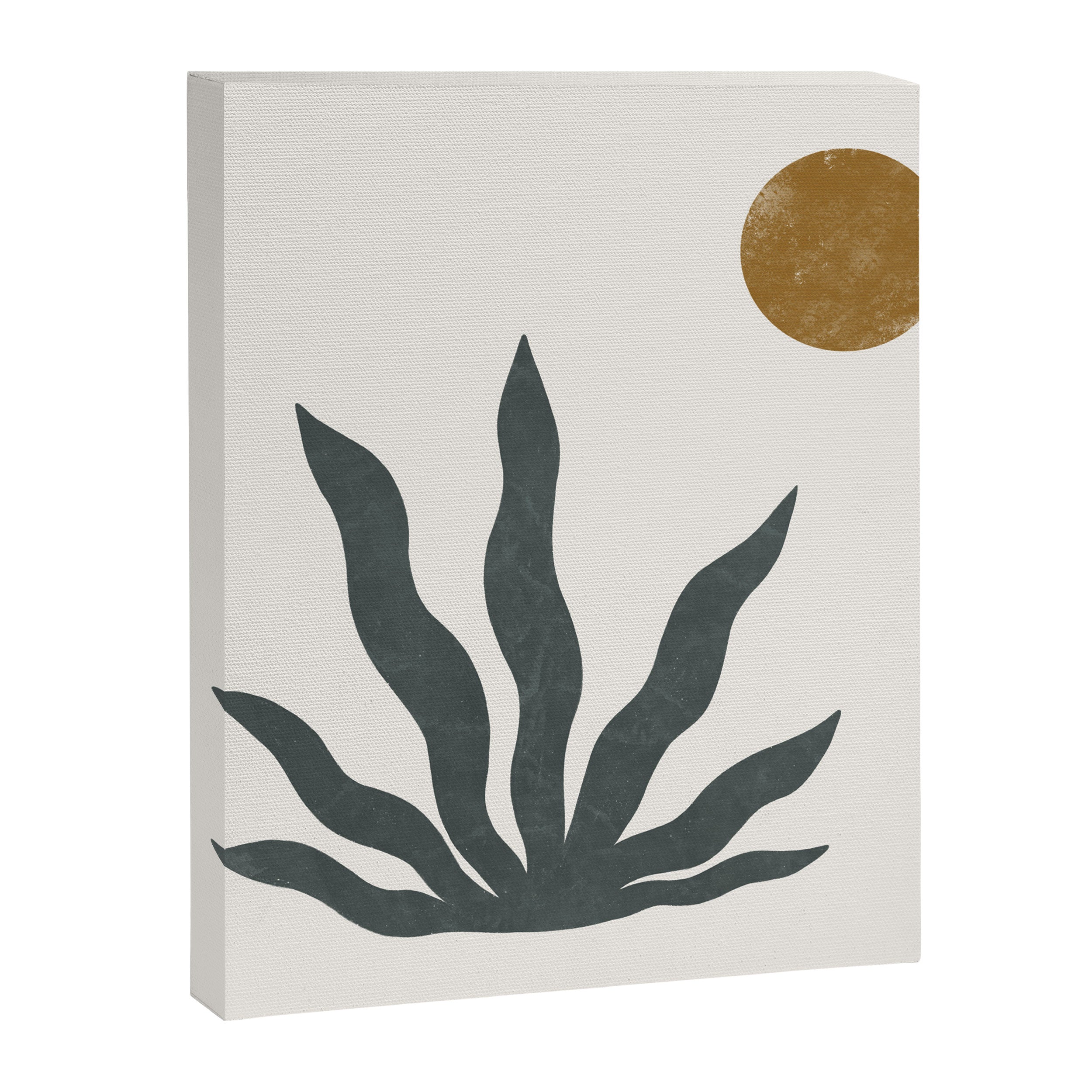 agave Canvas Print Gallery Image 8