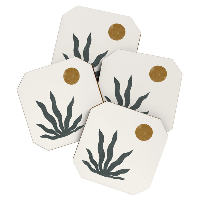 agave Coaster Gallery Image 1