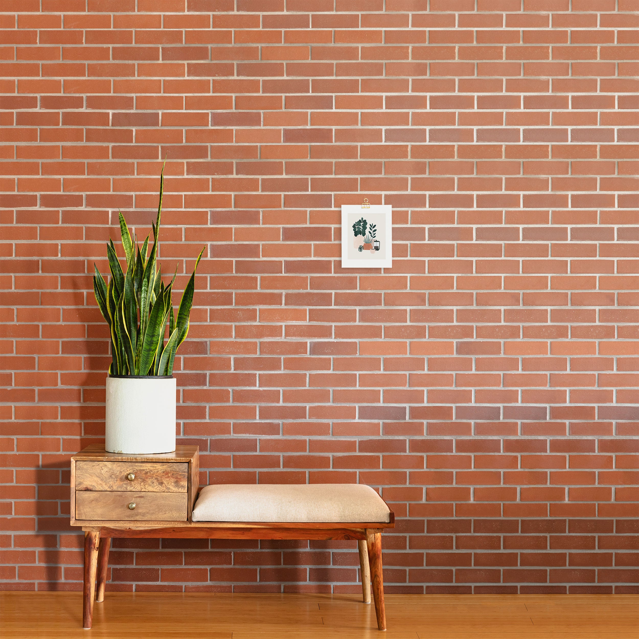 Coffee & Plants x The Sill Art Print Gallery Image 2