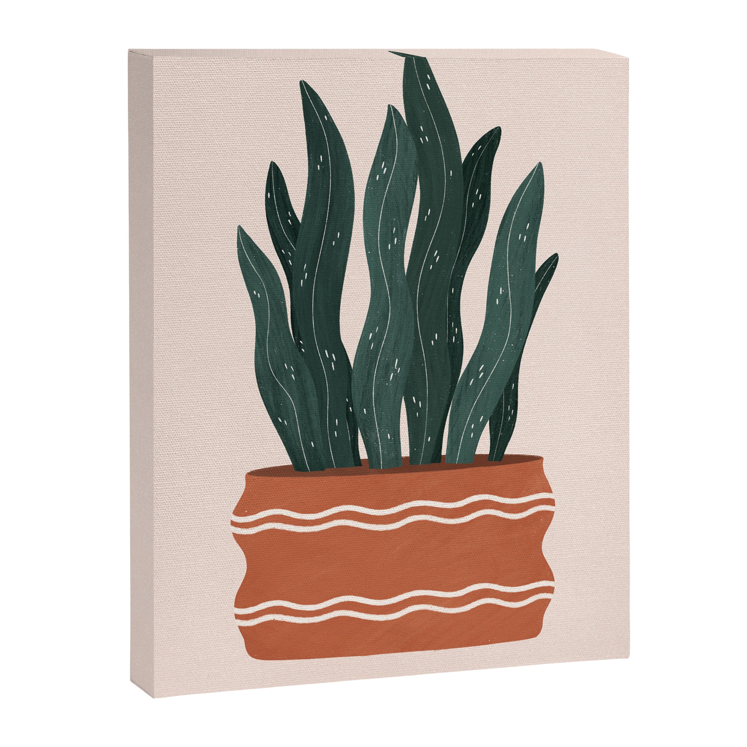 sanseveria Canvas Print Gallery Image 8