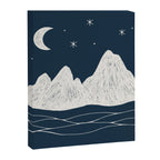 sonoran night Canvas Print Gallery Image 8