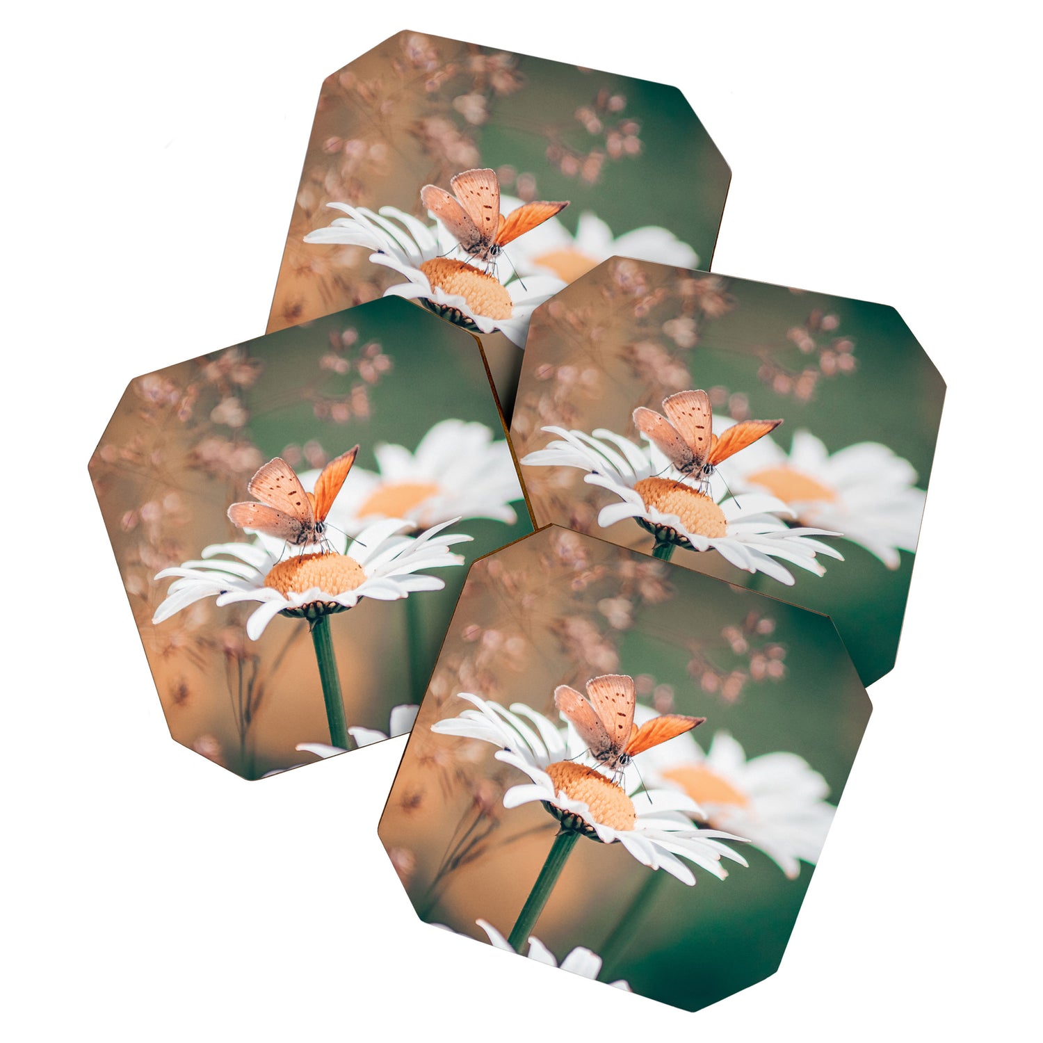 Butterfly on a daisy flower - summer nights Coaster Gallery Image 1