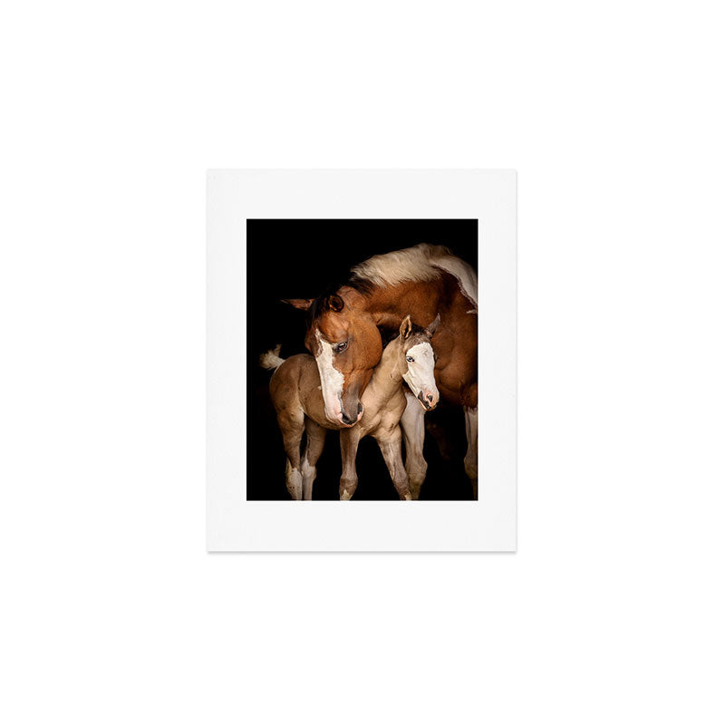 Foal and Mare hug - Equine fine art photograph Art Print Gallery Image 1