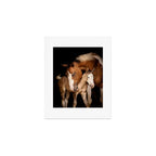 Foal and Mare hug - Equine fine art photograph Art Print Gallery Image 1