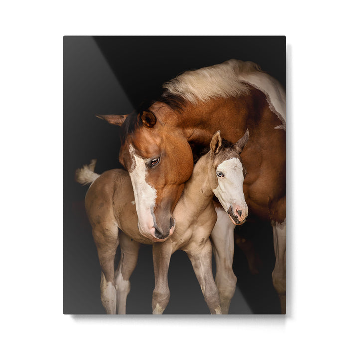 Foal and Mare hug - Equine fine art photograph Metal Print Gallery Image 1