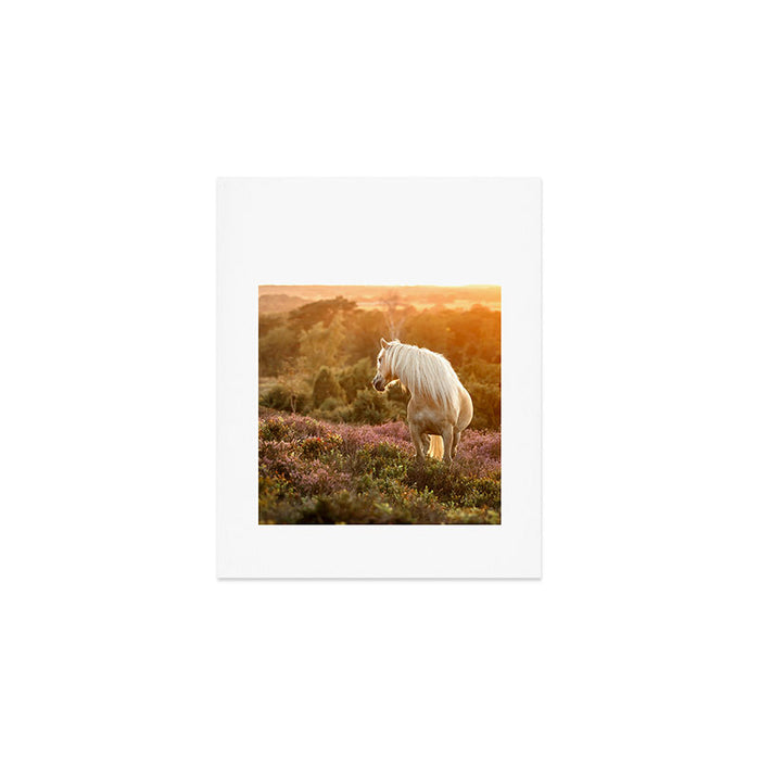 Haflinger horse on the blooming hill - Sunset equine photography Art Print Gallery Image 1