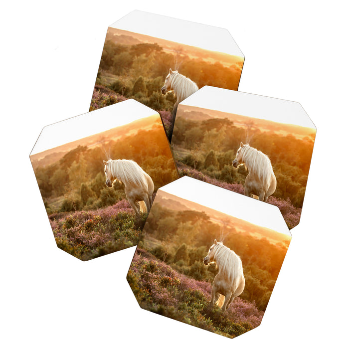Haflinger horse on the blooming hill - Sunset equine photography Coaster Gallery Image 1