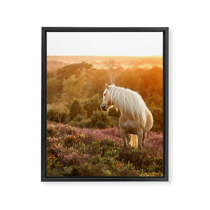 Haflinger horse on the blooming hill - Sunset equine photography Framed Canvas Print Gallery Image 1