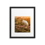 Haflinger horse on the blooming hill - Sunset equine photography Framed Art Print Gallery Image 5