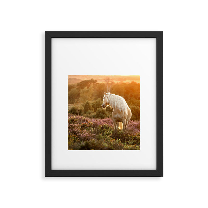 Haflinger horse on the blooming hill - Sunset equine photography Framed Art Print Gallery Image 5