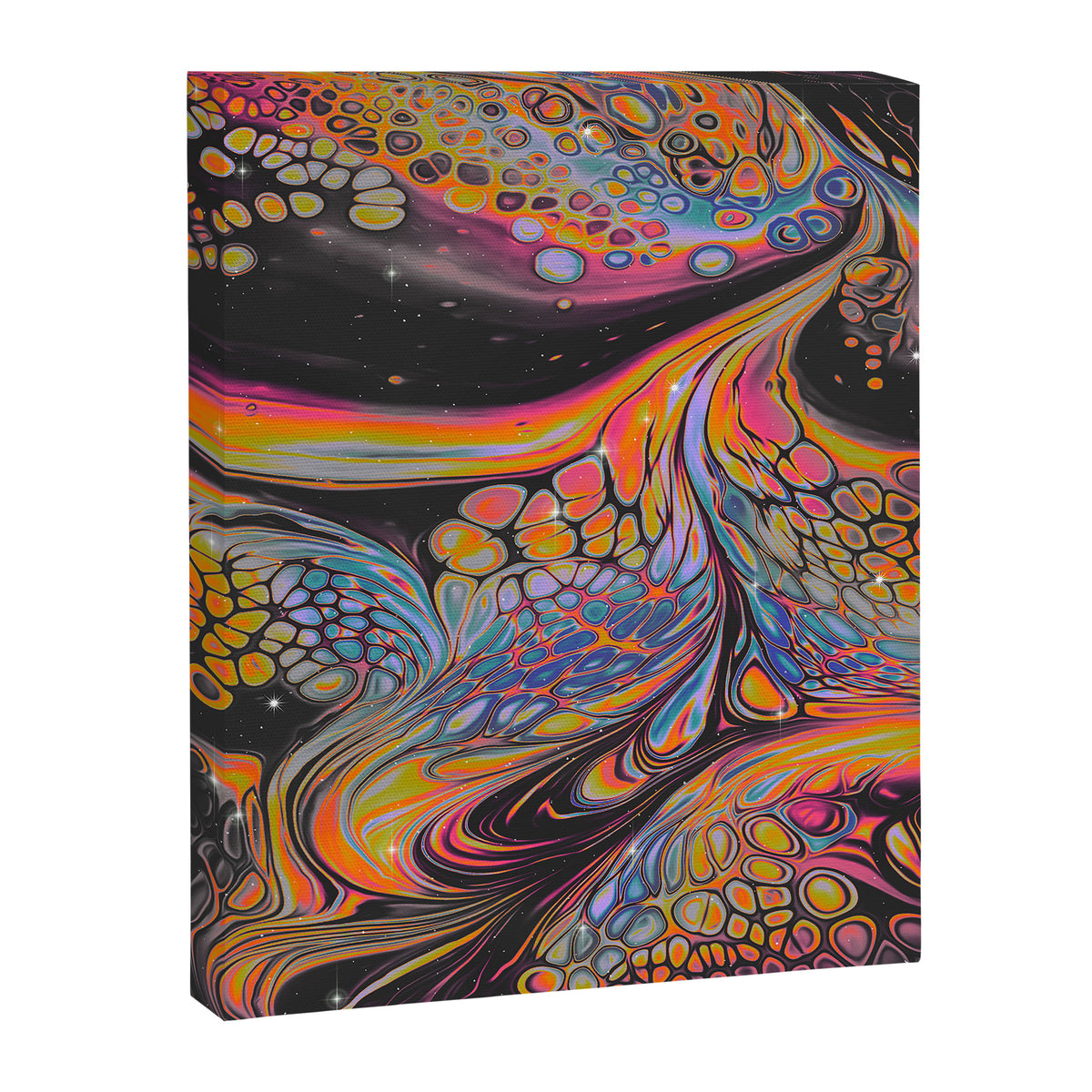 FRACTURES Canvas Print Gallery Image 6