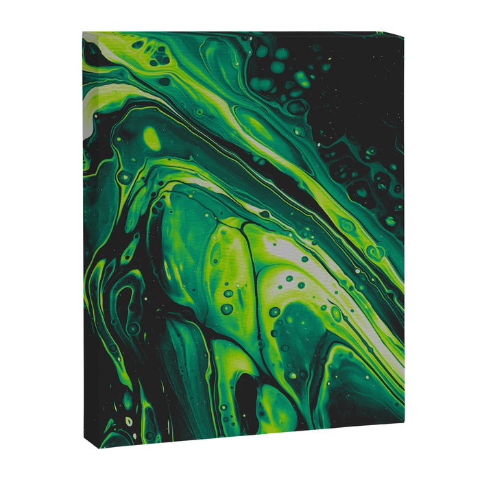 PARAPHERNELIA Canvas Print Gallery Image 1