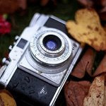 MaleneNelting Photography