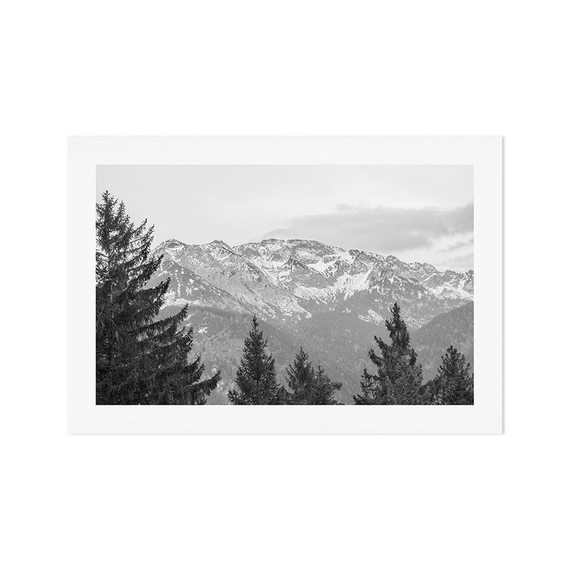 Mountain Forest Art Print Gallery Image 1