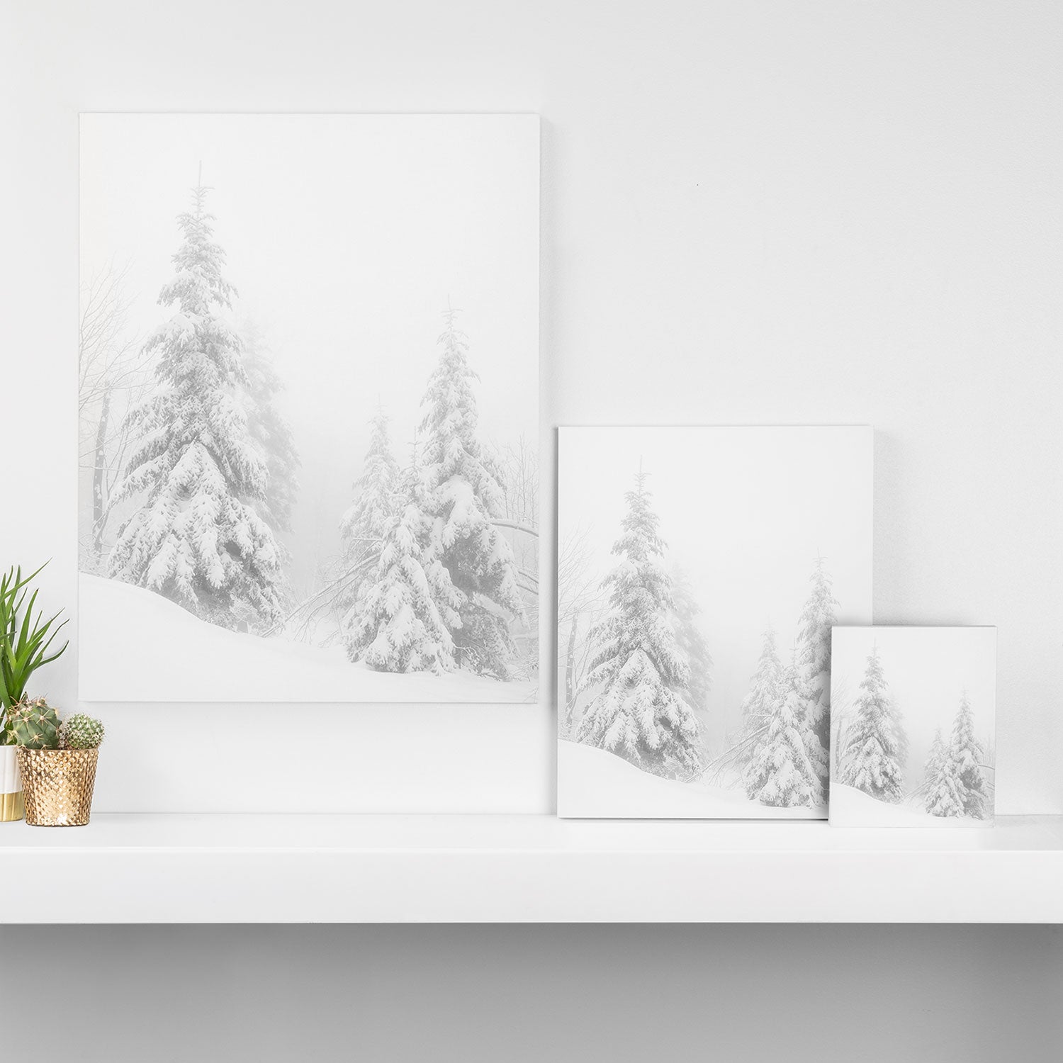 Snow Covered Winter Pine Trees Canvas Print Gallery Image 3