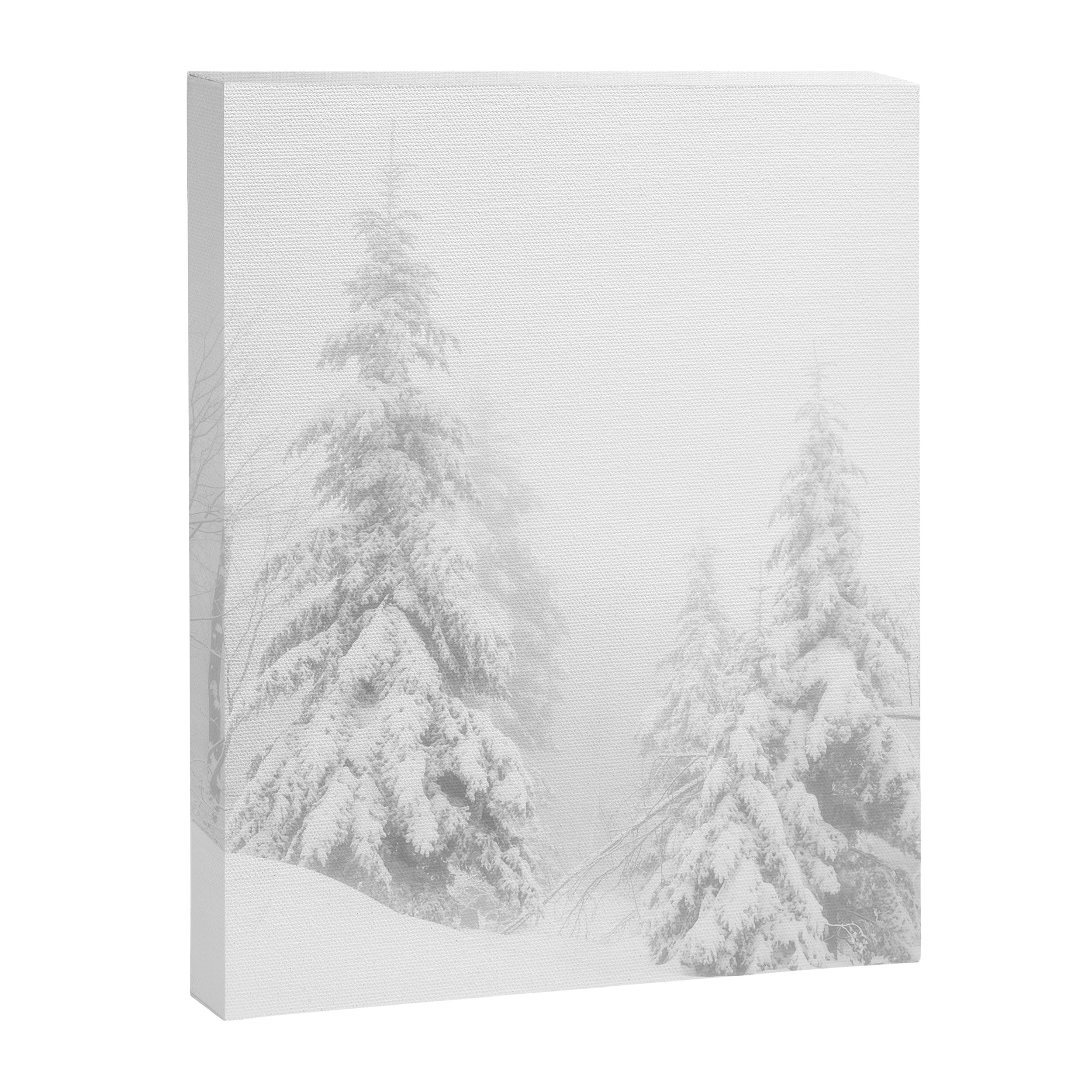 Snow Covered Winter Pine Trees Canvas Print Gallery Image 3