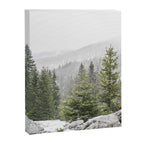 Winter Forest Landscape  Canvas Print Gallery Image 6