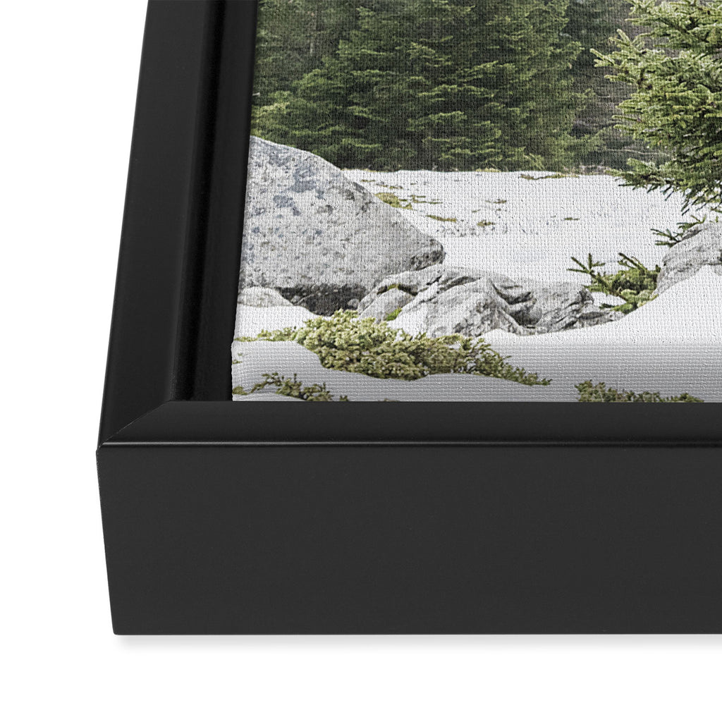 Winter Forest Landscape  Framed Canvas Print Gallery Image 3