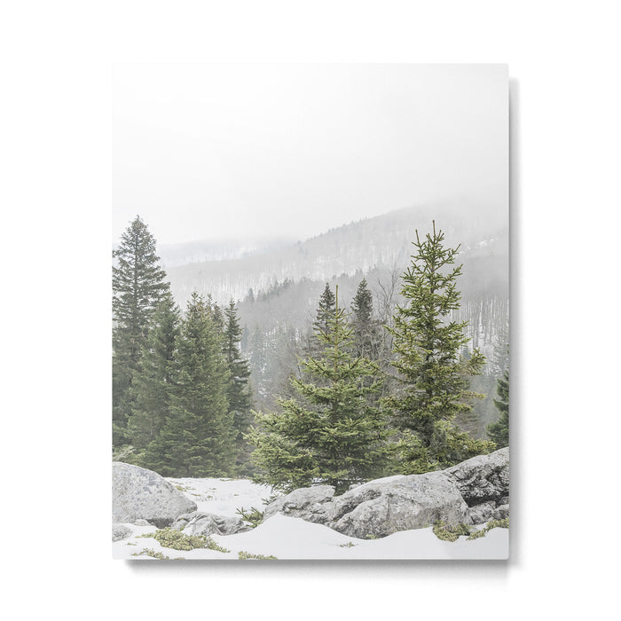 Winter Forest Landscape  Metal Print Gallery Image 1