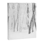 Winter Forest Landscape Canvas Print Gallery Image 6