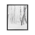 Winter Forest Landscape Framed Canvas Print Gallery Image 6