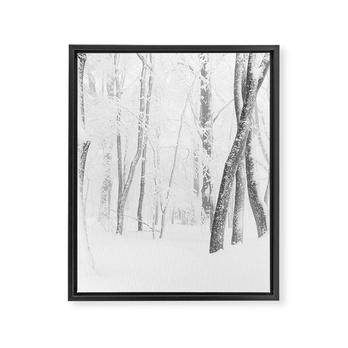 Winter Forest Landscape Framed Canvas Print Gallery Image 1