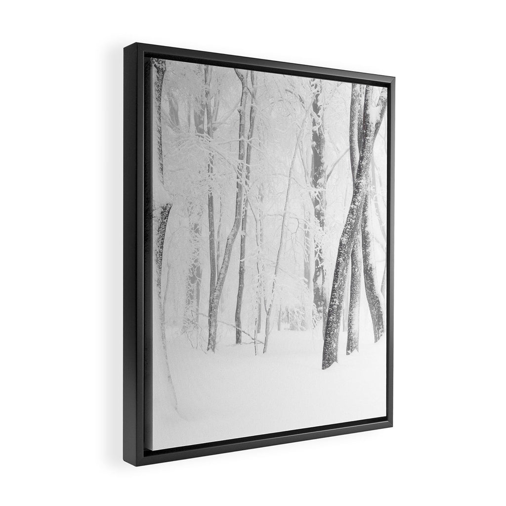 Winter Forest Landscape Framed Canvas Print Gallery Image 2