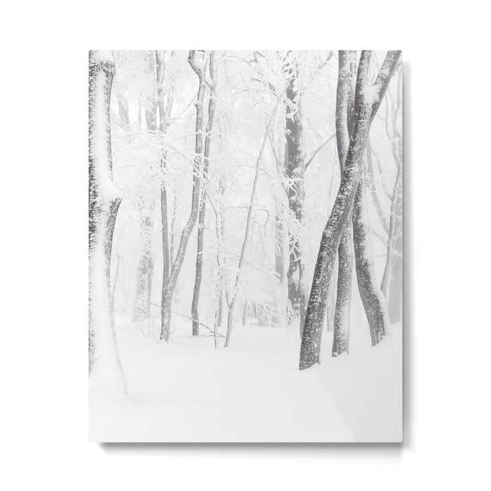 Winter Forest Landscape Metal Print Gallery Image 1