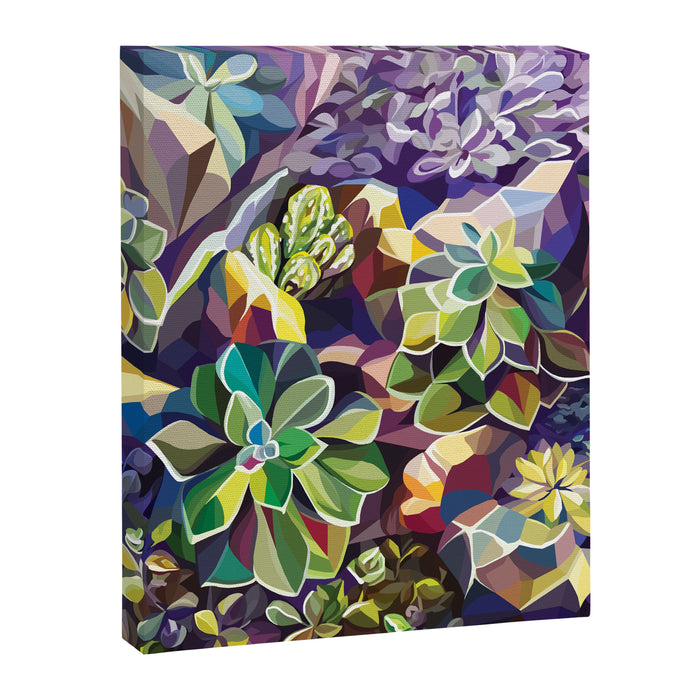 SUCCULENTS Canvas Print Gallery Image 1